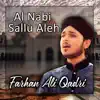 Farhan Ali Qadri - Al Nabi Sallu Aleh